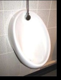 Purge Drain Cleaner