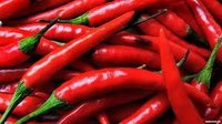 Fresh Red Chillies