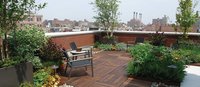 Terrace Garden Decorator Service