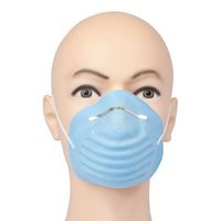 Face Mask