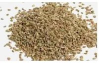 Ajowain essential oil