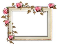Digital Album Photo Frame
