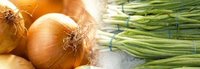Onion