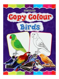 Book on Copy Colour Birds