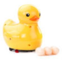Cute Duck With Eggs