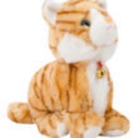Dancing Soft Orange Cat With Music
