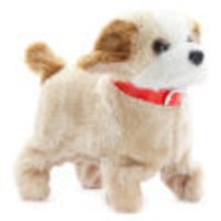 Fantastic Puppy Jumping Dog