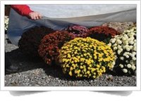 Non Woven Fleece Cover