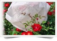 Non Woven Fruit Protection Cover