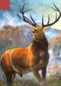 Wild Life Painting