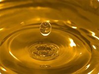 Chamomile Essential Oil