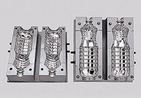 Pet Injection Mold