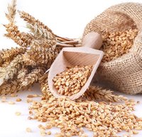 High Quality Wheat