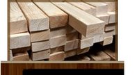 Teak (Tactona Grandis)