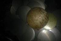 Silicone Dal Scrap