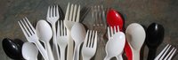 Disposable Plastic Spoon