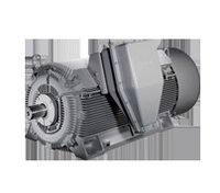 NEMA (HV) Motor