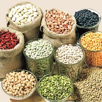 Organic Indian Pulses