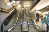 Quality Escalators Lift