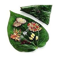 Quality Mouth Freshener Fragrances