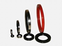 Oil Seal Ring
