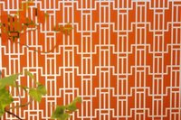 Sandblasted And Back Orange Painted AP Connectivity