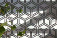 Sandblasted On Silver Mirror (AP Intercrossing)