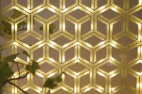 Sandblasted On Silver Mirror - Positive (AP Intercrossing)