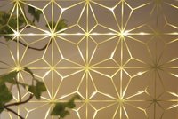 Sandblasted On Silver Mirror - Positive (Back Lit)