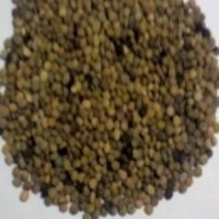 Guar Seeds