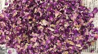 Pink Rose Petals
