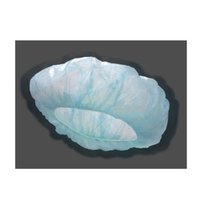 Buffet Disposable Cap