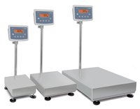 Industrial Platform Scale