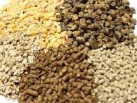 Animal Feed