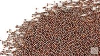 Mustard Seed