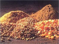 Poultry Feeds