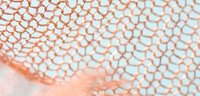 Copper Wire Mesh