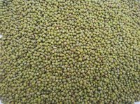 Moong Pulse