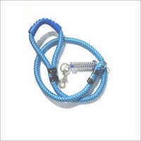 Dog Spring With Lead