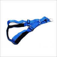 Paddled Body Belt