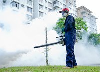 Pest Control Service