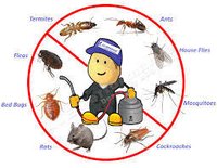 Pest Control Service