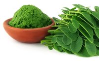 Moringa Leaves Powder