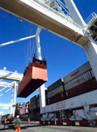 Clearing And Forwarding Agent