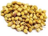 Coriander Seeds