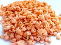 Red Lentils