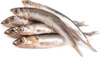 Anchovy Fish