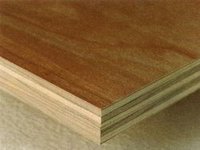 Strong Plywood for Doors