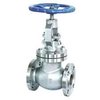 Ss Globe Valves