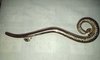 Snail Design Door Handles